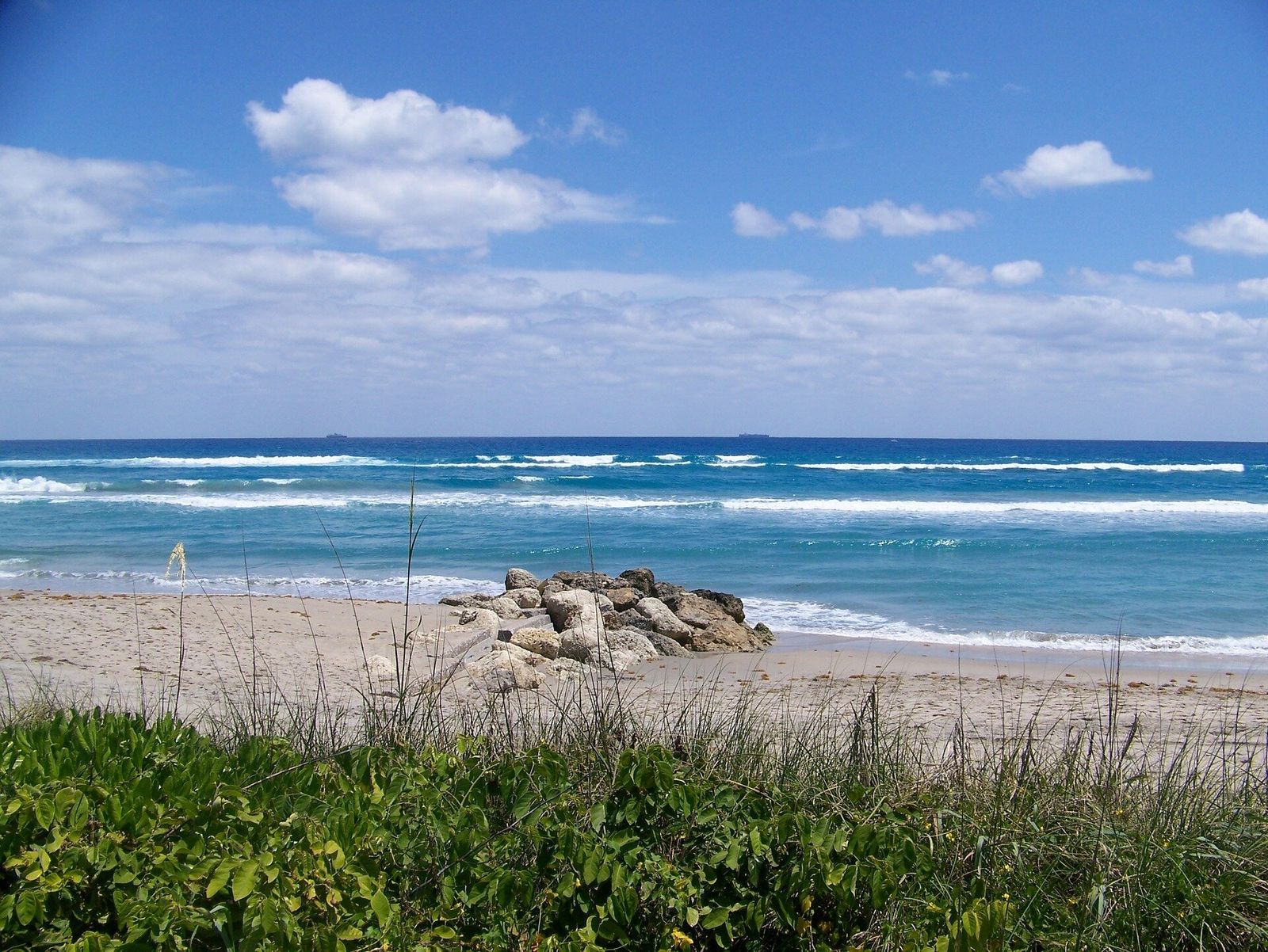 Location de voiture West Palm Beach